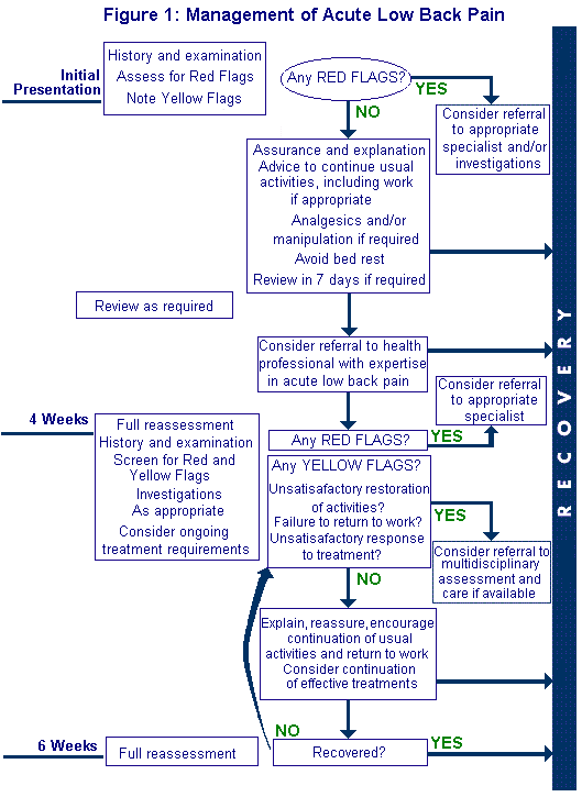 Guide to Back Pain